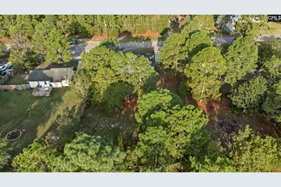 229 Transcom Court, Gaston, SC 29053 - Photo 33