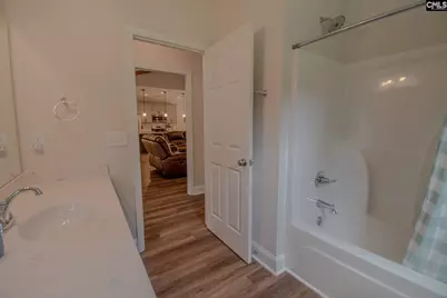 11848 Broad River Road, Chapin, SC 29036 - Photo 23