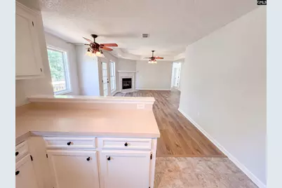 238 Colony Lakes Drive, Lexington, SC 29073 - Photo 7