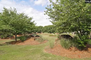209 Northwood St, Columbia, SC 29201 - Photo 47
