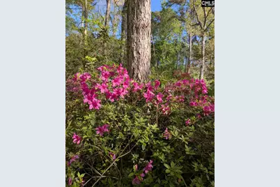 100 Mark I Road, Lexington, SC 29072 - Photo 51