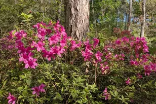 100 Mark I Rd, Lexington, SC 29072 - Photo 51
