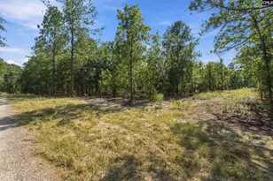 157 Pointers Path, Camden, SC 29020 - Photo 1