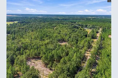 157 Pointers Path, Camden, SC 29020 - Photo 17