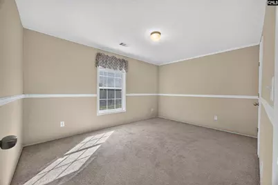 133 Newberg Road, Chapin, SC 29036 - Photo 37