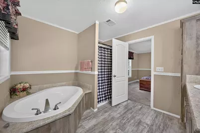 133 Newberg Road, Chapin, SC 29036 - Photo 31