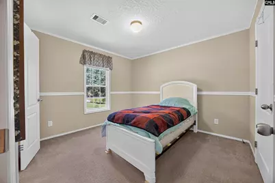 133 Newberg Road, Chapin, SC 29036 - Photo 43