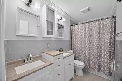 133 Newberg Road, Chapin, SC 29036 - Photo 67