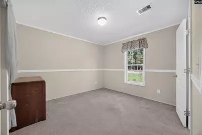 133 Newberg Road, Chapin, SC 29036 - Photo 39