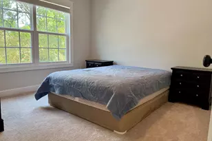 609 Crystal Creek Cir, Chapin, SC 29036 - Photo 49