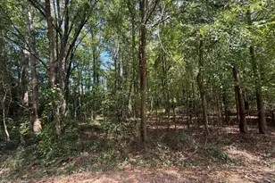 3938 Timrod Rd, Bethune, SC 29009 - Photo 1
