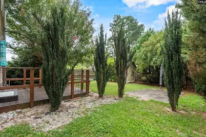 213 Stagone Lane, Lexington, SC 29073 - Photo 39