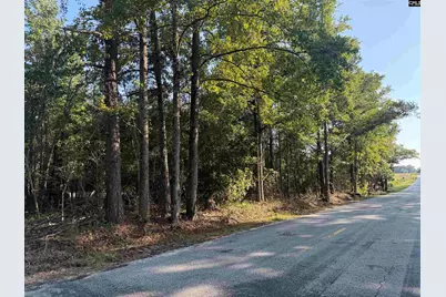 Tbd New Hopewell Road, Hartsville, SC 29550 - Photo 9