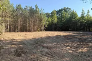 Tbd New Hopewell Rd, Hartsville, SC 29550 - Photo 1
