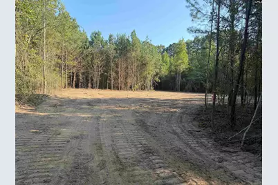 Tbd New Hopewell Road, Hartsville, SC 29550 - Photo 7