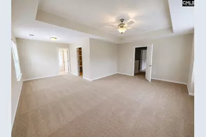 815 Burnview Lane, Chapin, SC 29036 - Photo 11