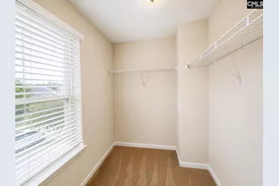 815 Burnview Lane, Chapin, SC 29036 - Photo 17