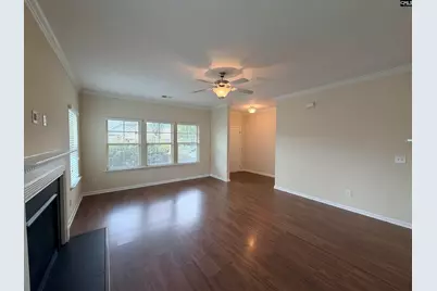 815 Burnview Lane, Chapin, SC 29036 - Photo 3