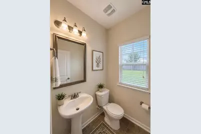 815 Burnview Lane, Chapin, SC 29036 - Photo 9