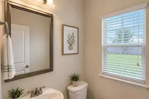 815 Burnview Ln, Chapin, SC 29036 - Photo 9
