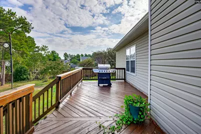 412 Knotts Court, Lexington, SC 29073 - Photo 43
