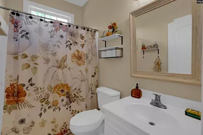 582 Village Church Drive, Chapin, SC 29036 - Photo 23