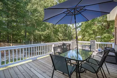 582 Village Church Drive, Chapin, SC 29036 - Photo 33