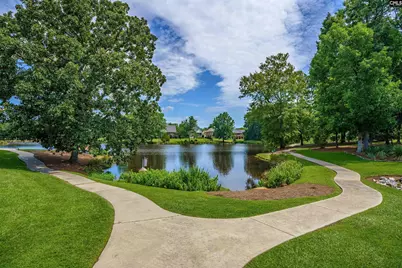 582 Village Church Drive, Chapin, SC 29036 - Photo 43
