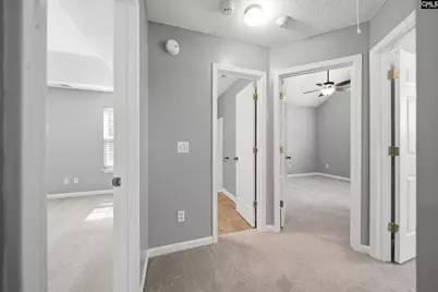 370 Grover Wilson Road, Blythewood, SC 29016 - Photo 13