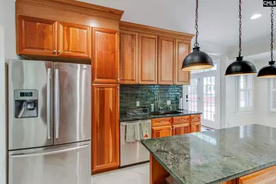 4 Holly Forest Court, Blythewood, SC 29016 - Photo 11