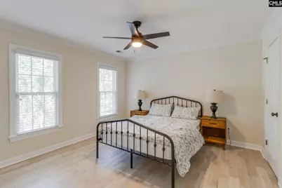 4 Holly Forest Court, Blythewood, SC 29016 - Photo 29