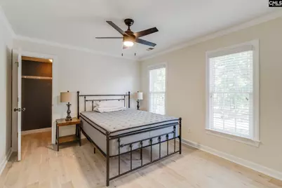 4 Holly Forest Court, Blythewood, SC 29016 - Photo 31