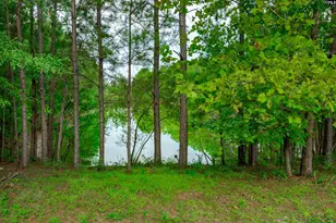 3255 Oleander Dr, Sumter, SC 29154 - Photo 45