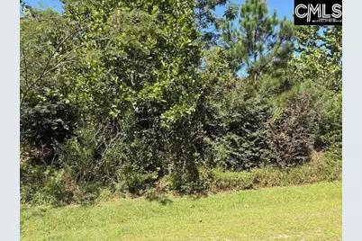 318 Clarendon Court, Lexington, SC 29072 - Photo 23
