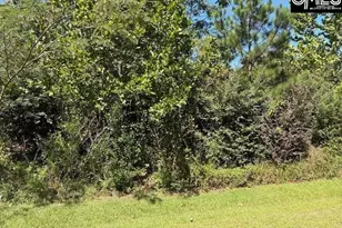 318 Clarendon Ct, Lexington, SC 29072 - Photo 23
