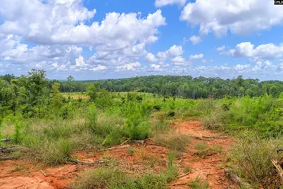 0000 Penner Road 7 #7, Jenkinsville, SC 29065 - Photo 29