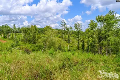 0000 Penner Road 7 #7, Jenkinsville, SC 29065 - Photo 31