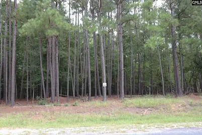 Lot 229 Granny Hill Road #229, Prosperity, SC 29127 - Photo 17