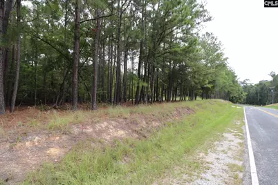 Lot 229 Granny Hill Road #229, Prosperity, SC 29127 - Photo 19