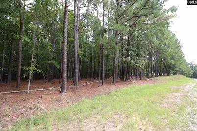 Lot 229 Granny Hill Road #229, Prosperity, SC 29127 - Photo 23