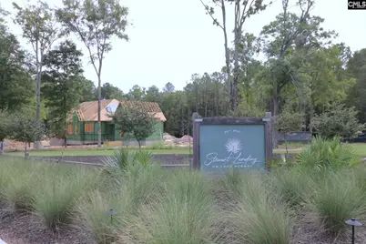 Lot 229 Granny Hill Road #229, Prosperity, SC 29127 - Photo 29