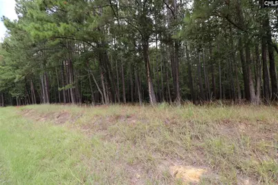 Lot 229 Granny Hill Road #229, Prosperity, SC 29127 - Photo 21