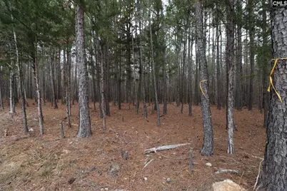 Lot 229 Granny Hill Road #229, Prosperity, SC 29127 - Photo 43