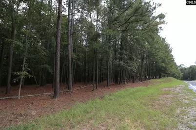 Lot 229 Granny Hill Road #229, Prosperity, SC 29127 - Photo 25