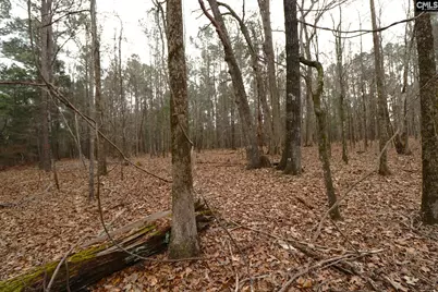 Lot 229 Granny Hill Road #229, Prosperity, SC 29127 - Photo 47