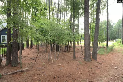 Lot 107 Timber Trail Lane, Prosperity, SC 29127 - Photo 31