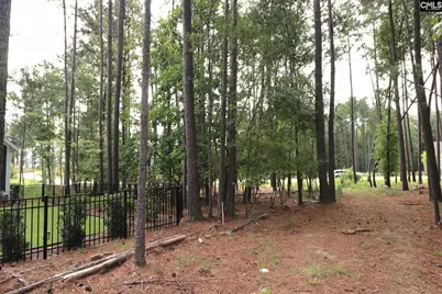 Lot 107 Timber Trail Lane, Prosperity, SC 29127 - Photo 29