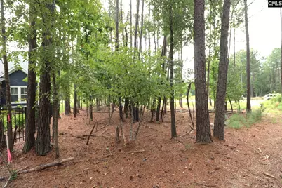 Lot 107 Timber Trail Lane, Prosperity, SC 29127 - Photo 19