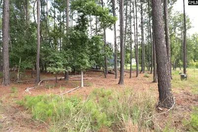 Lot 107 Timber Trail Lane, Prosperity, SC 29127 - Photo 33