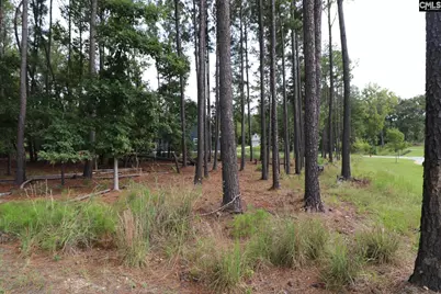 Lot 107 Timber Trail Lane, Prosperity, SC 29127 - Photo 17